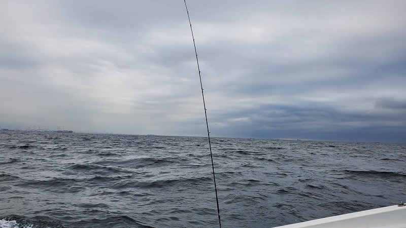 今日は７枚 東京湾に真鯛が帰ってきたようです 釣りしタイラバ