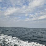 20251109アイキャッチ