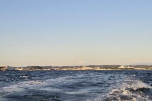 20260118アイキャッチ