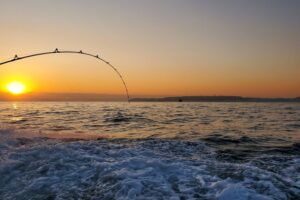 20260211アイキャッチ