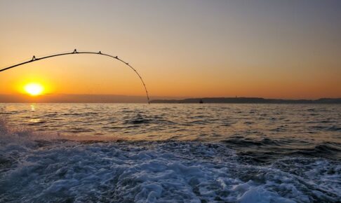 20260211アイキャッチ