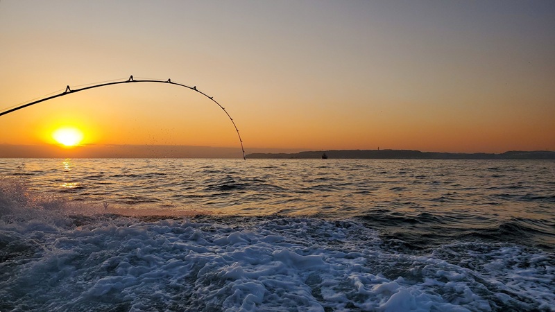 20260211アイキャッチ