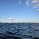 20260307アイキャッチ