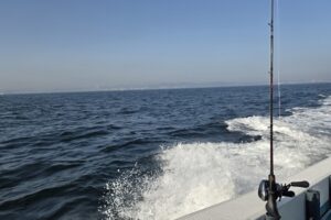 20260412アイキャッチ